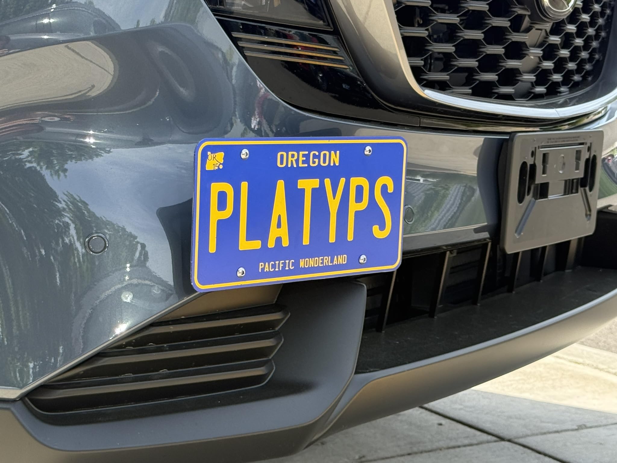 Amazon.com: CravenSpeed Platypus License Plate Mount Compatible